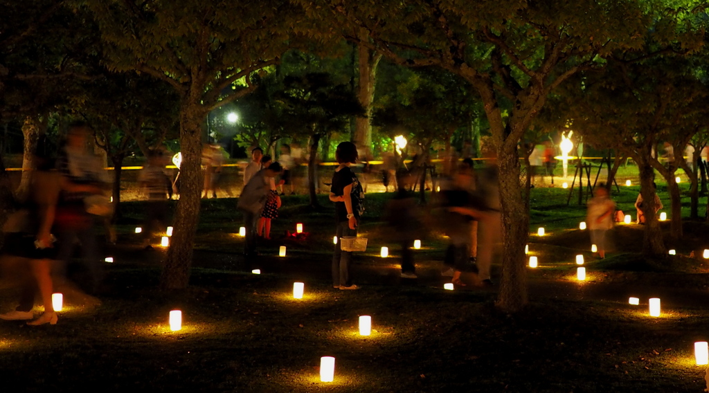 奈良公園 燈花会