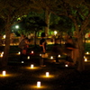 奈良公園 燈花会
