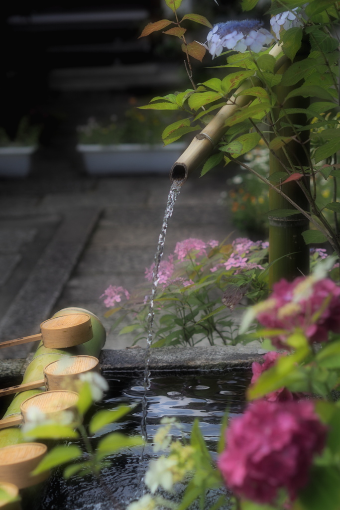 矢田寺　参道の手水舎