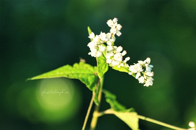good morning♡