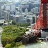 東京タワーを眺めて…