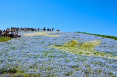 ひたち海浜公園