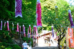 袋田の滝　周辺