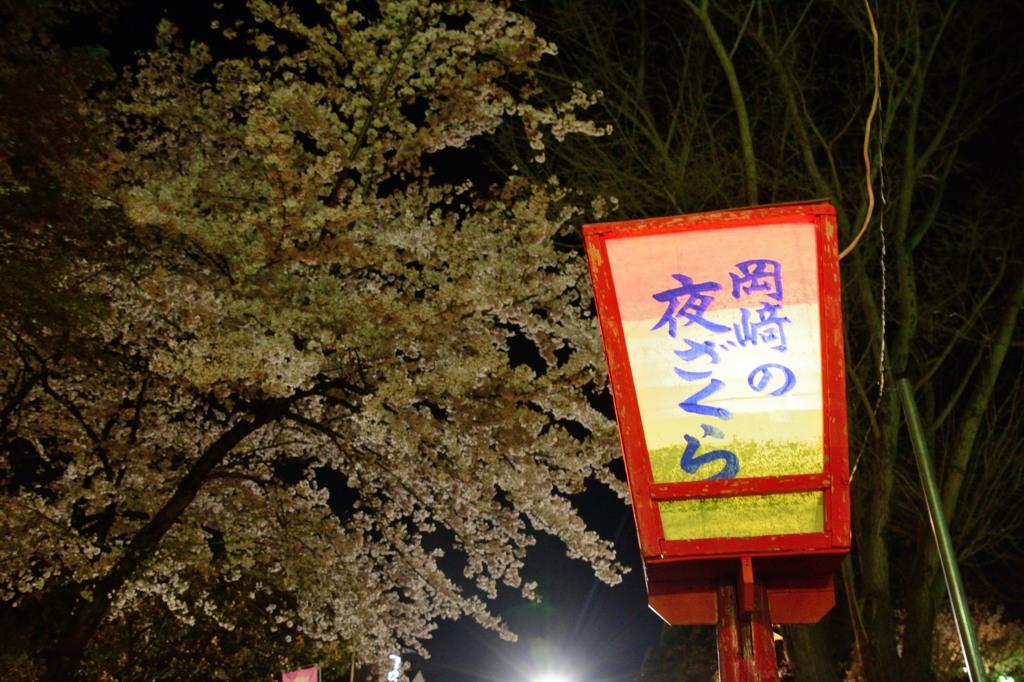 岡崎城 桜 2016040506