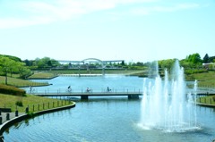 ひたち海浜公園