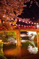 岡崎城 桜20160405