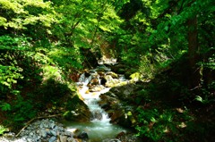太平山　登山道　旭又ルート