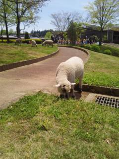 2015-04-24-12-25-10_photo