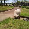 2015-04-24-12-25-10_photo