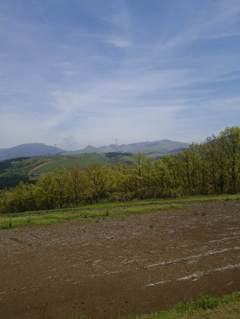 2015-04-24-12-15-41_photo