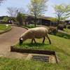 2015-04-24-12-23-59_photo