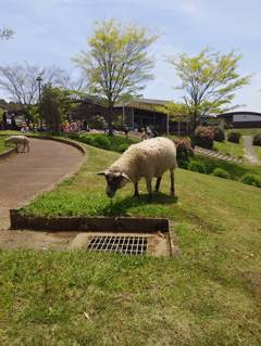 2015-04-24-12-23-46_photo