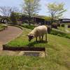 2015-04-24-12-23-46_photo