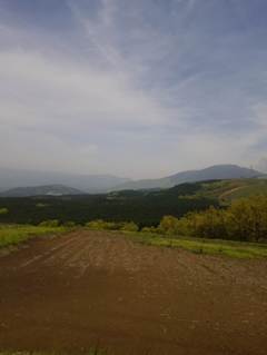 2015-04-24-12-15-48_photo