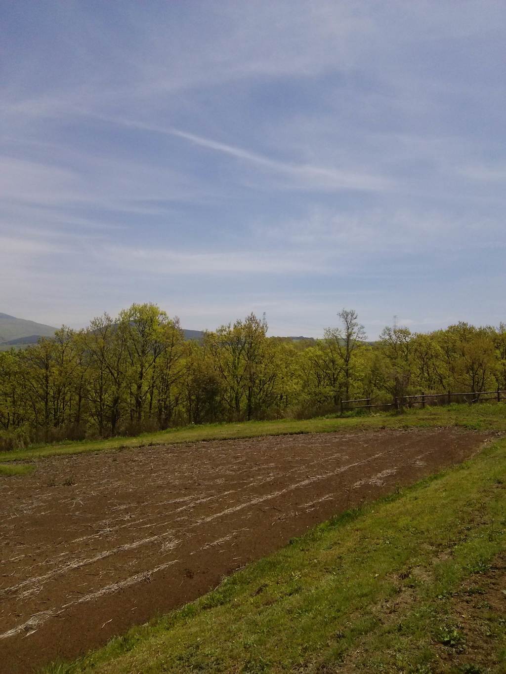 2015-04-24-12-15-45_photo