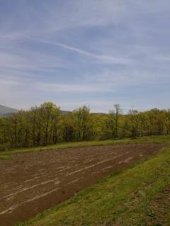 2015-04-24-12-15-45_photo