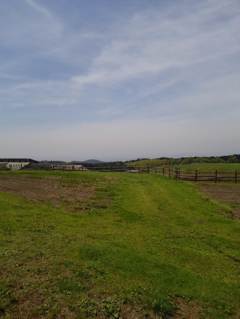 2015-04-24-12-16-06_photo