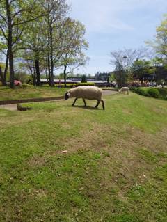 2015-04-24-12-23-15_photo