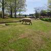2015-04-24-12-23-15_photo