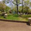 2015-04-24-12-27-02_photo