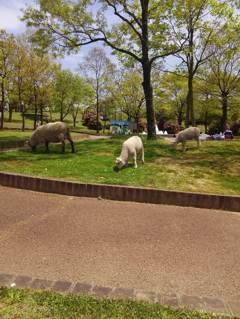 2015-04-24-12-26-43_photo
