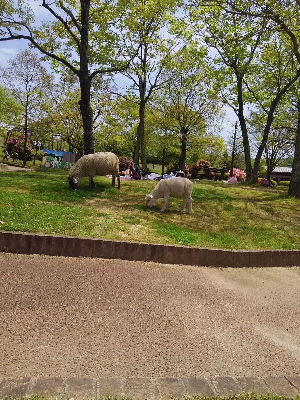 2015-04-24-12-25-51_photo