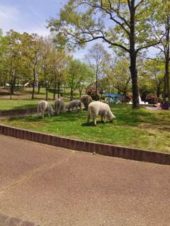 2015-04-24-12-28-02_photo