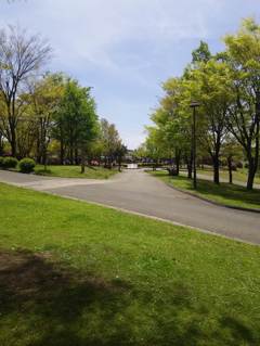 2015-04-24-12-19-56_photo