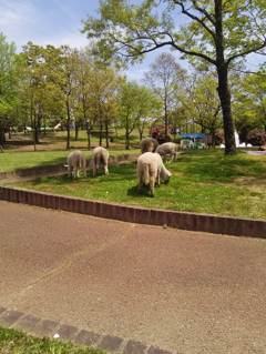 2015-04-24-12-27-48_photo