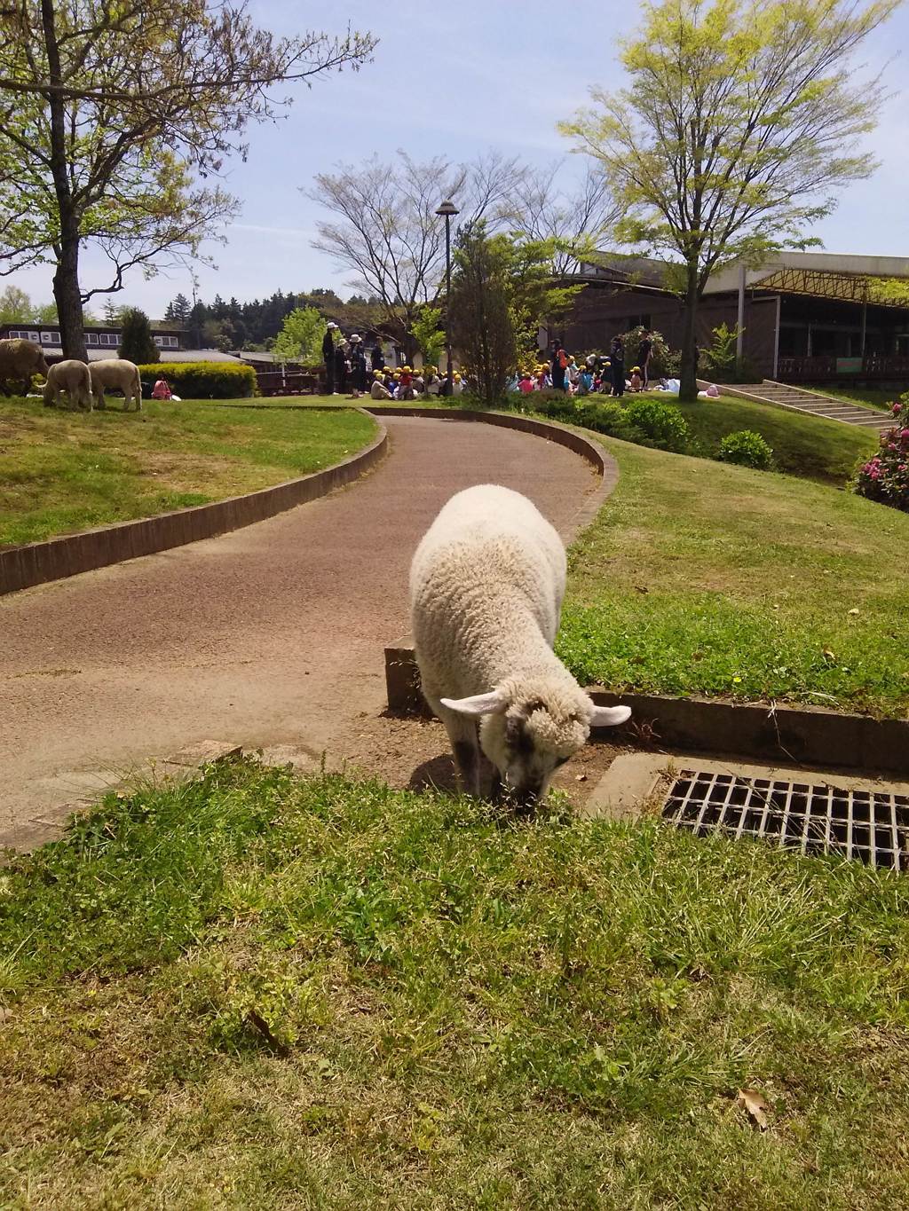 2015-04-24-12-25-16_photo