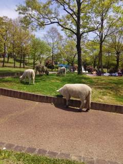 2015-04-24-12-27-25_photo