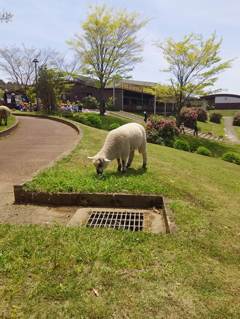 2015-04-24-12-24-33_photo