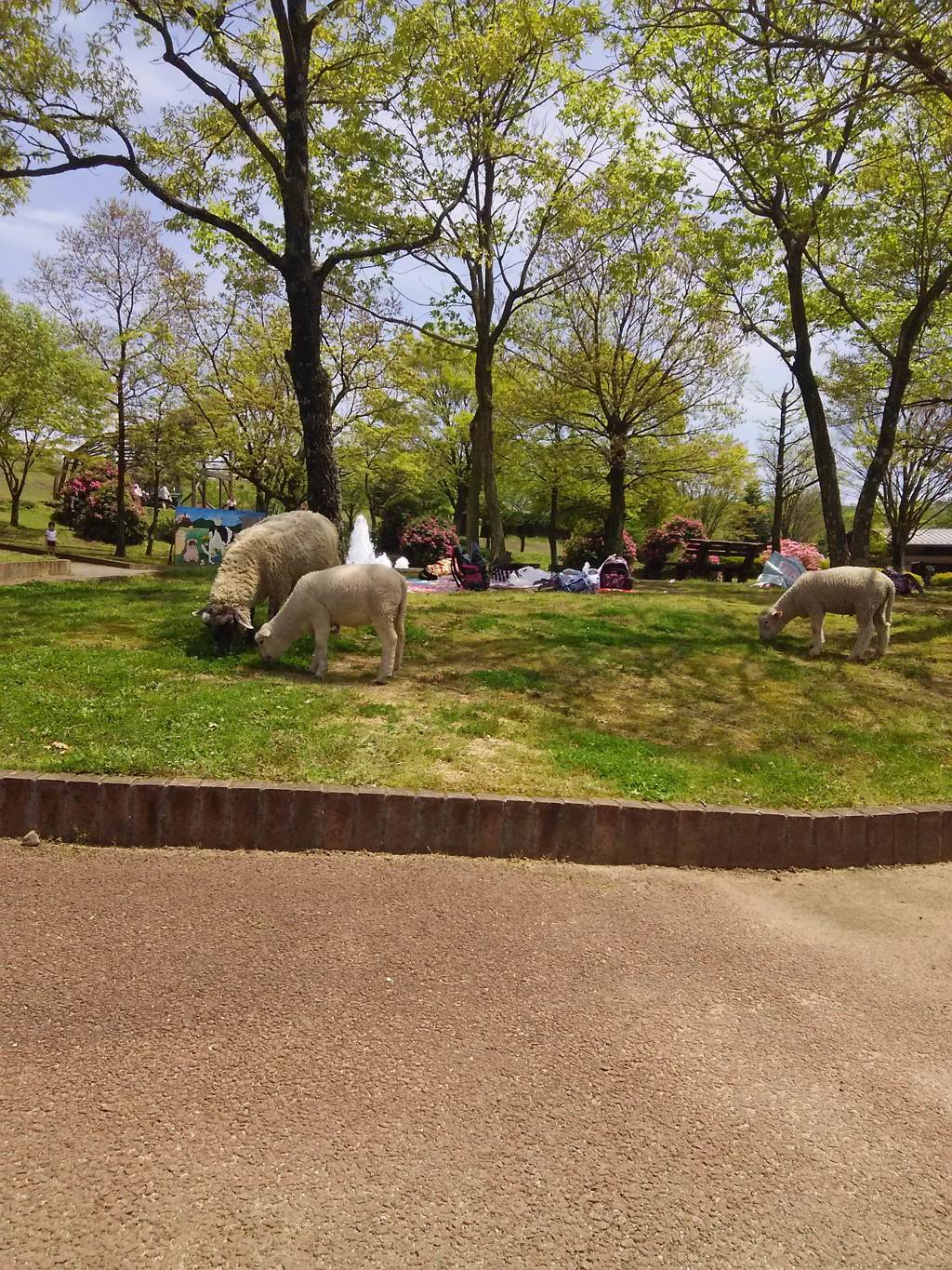 2015-04-24-12-26-15_photo