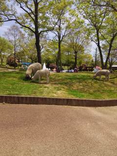2015-04-24-12-26-15_photo