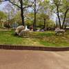 2015-04-24-12-26-15_photo