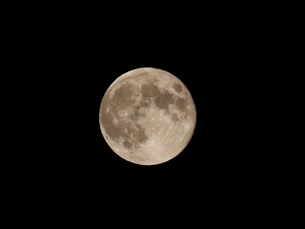 P1000046