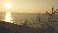 P1000894