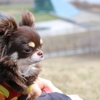 何を思う？？