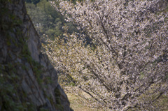 竹田城跡３