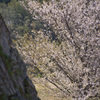 竹田城跡３