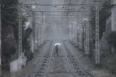 雨傘人