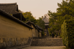 日曜日PM法隆寺　〜明日は仕事〜