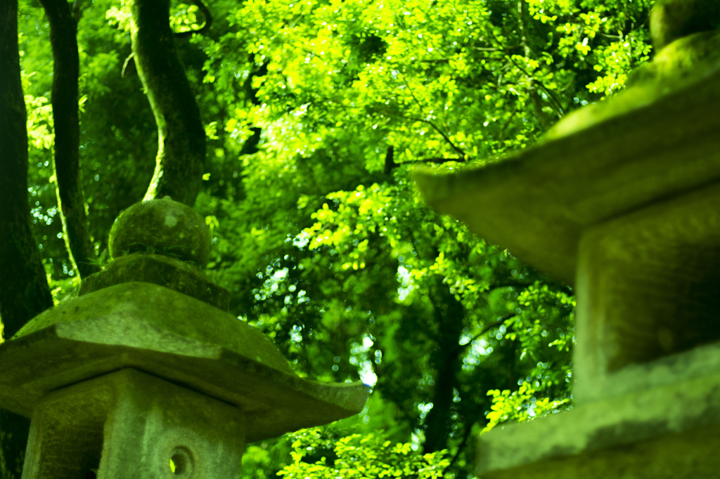 Green　world