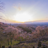 吉野上千本桜