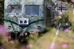 大鉄の秋①