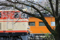 大鉄の春