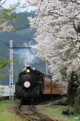 大井川鉄道の春２