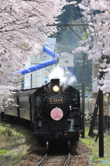 大井川鉄道の春１