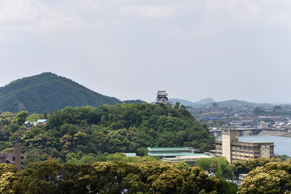 成田山から犬山城 70㎜比較用