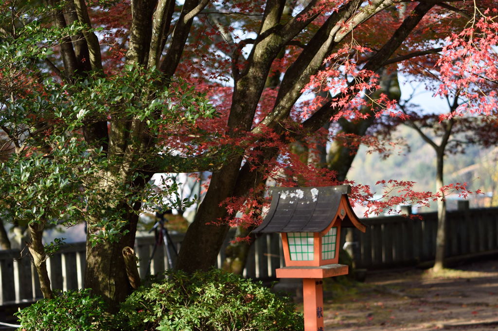日本の風景